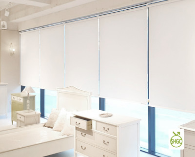 Rain Roller Shade